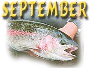September - Big Rainbows, River Canoeing, Mushrooms, Shooting Stars